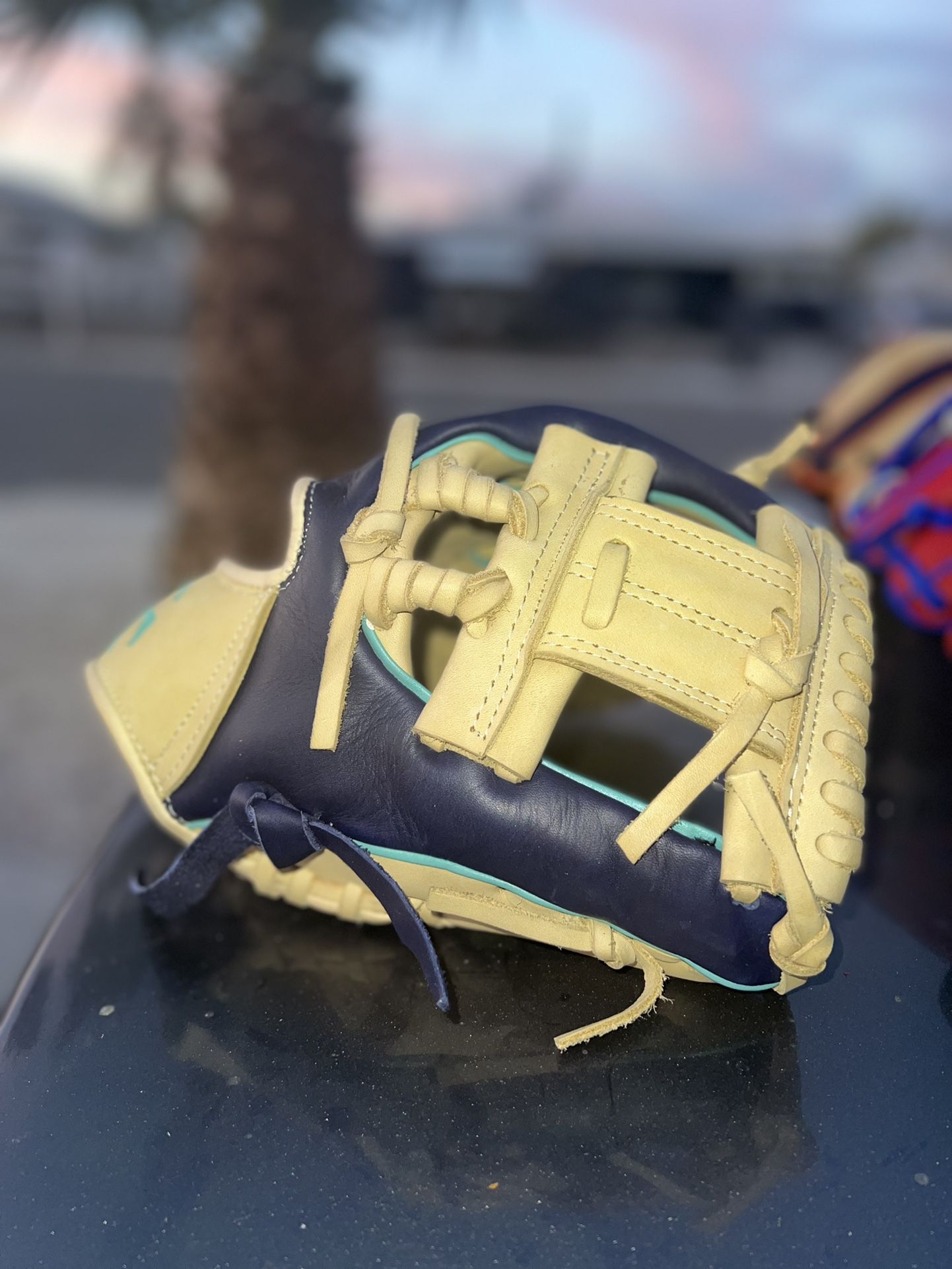 Baseball Glove