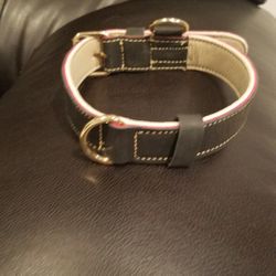 Imported, Real Leather Dog Collar.