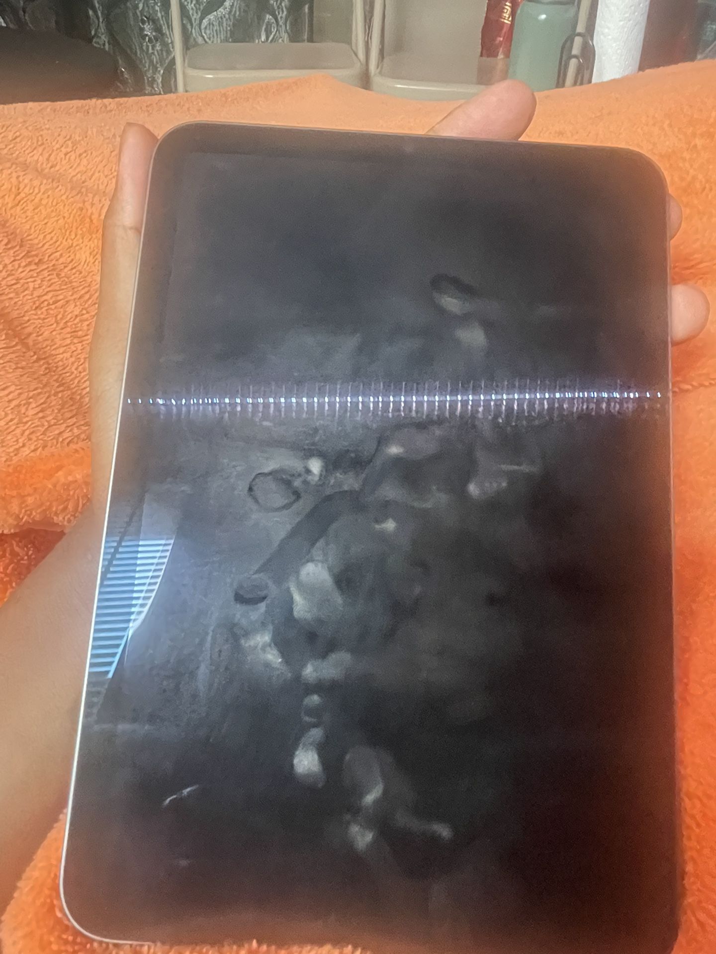 iPad Mini