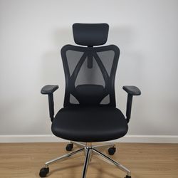 Duramont Ergonomic Office Chair, New