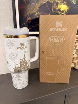 Stanley 40oz Tumbler Cup Disney Theme, Brand New