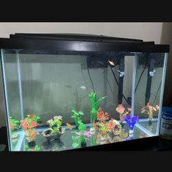 Aquarium 