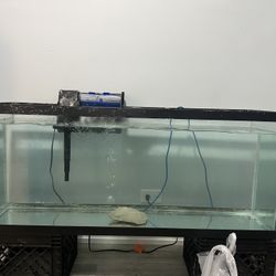 55 Gallon Tank 