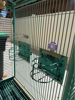 Birdcage