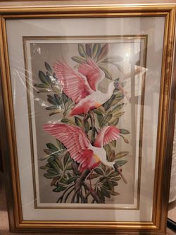 Large Picture Of Spoonbills