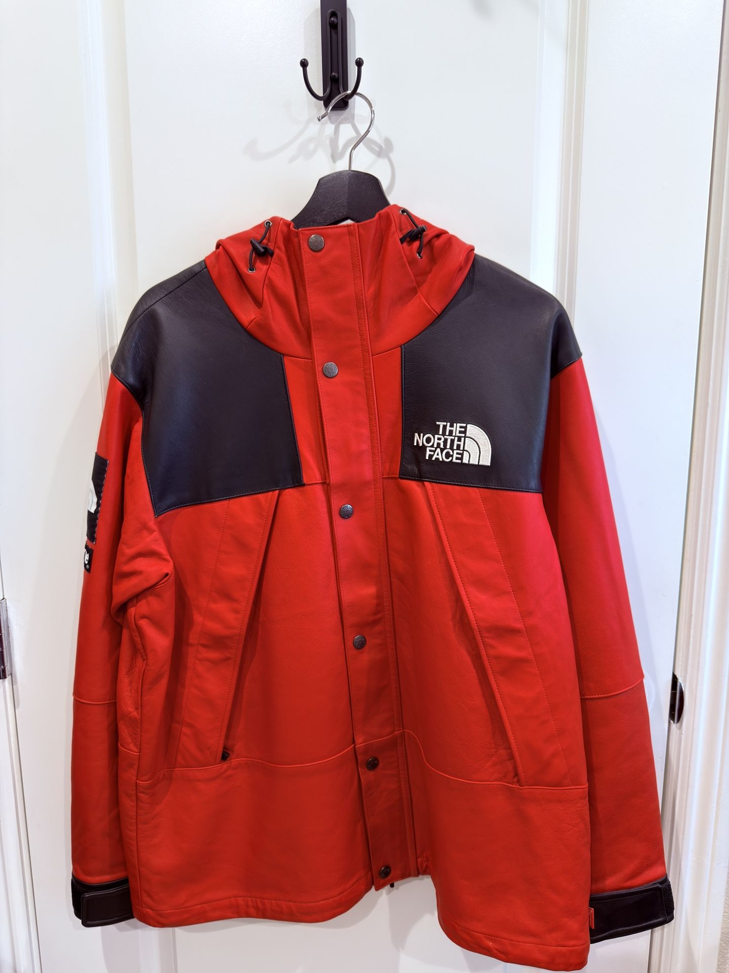 Supreme The North Face Leather Mountain Parka