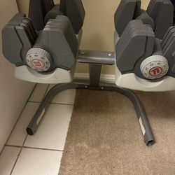 Adjustable Nautilus dumbbells with stand.