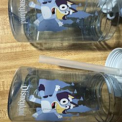 Used Bluey Cups Selling Both Together