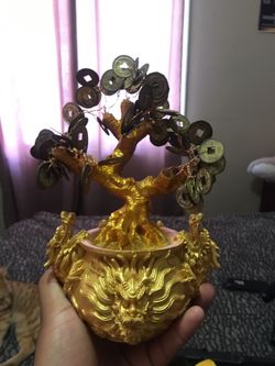 Chinese Money Tree