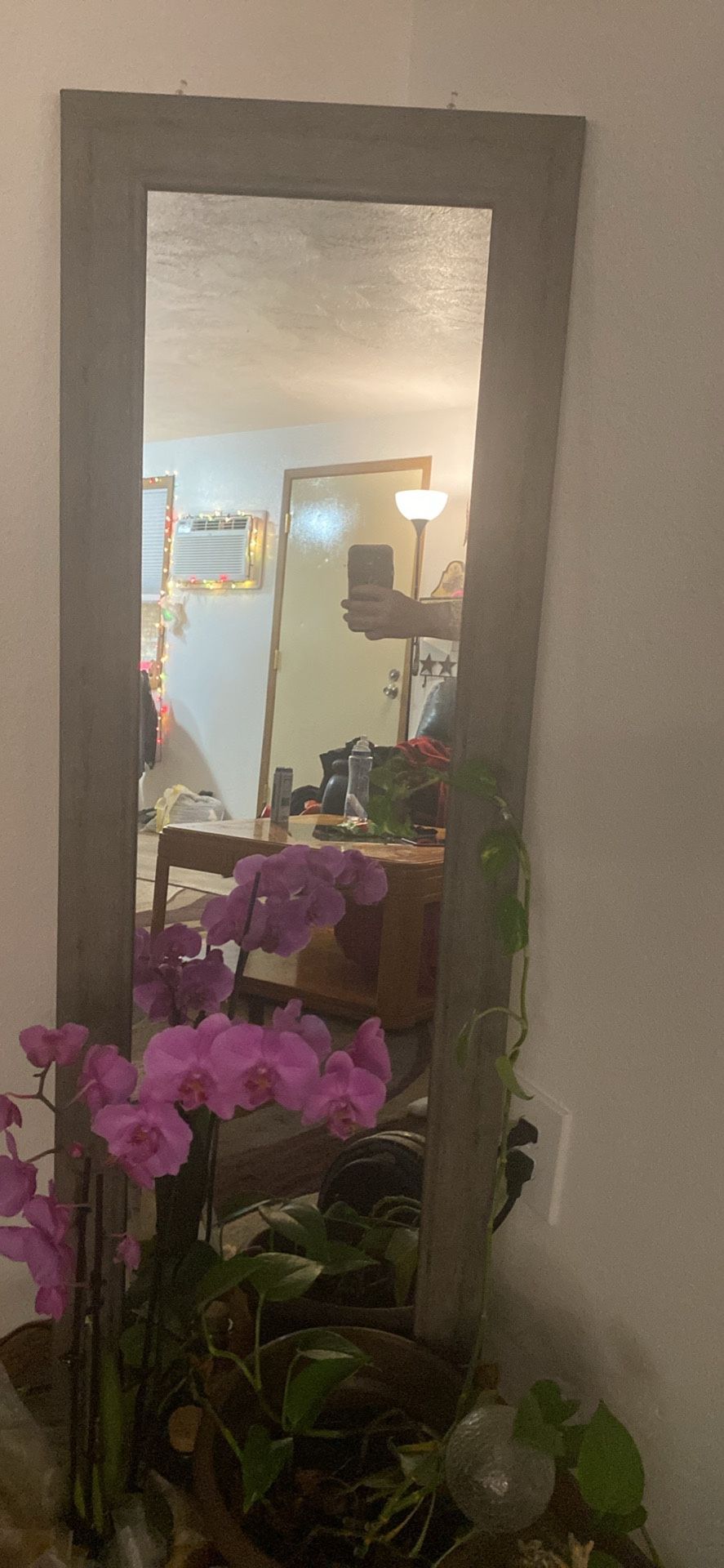 Door Mirror
