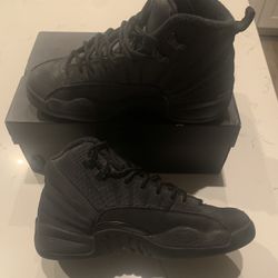Jordan 12 Winterized 