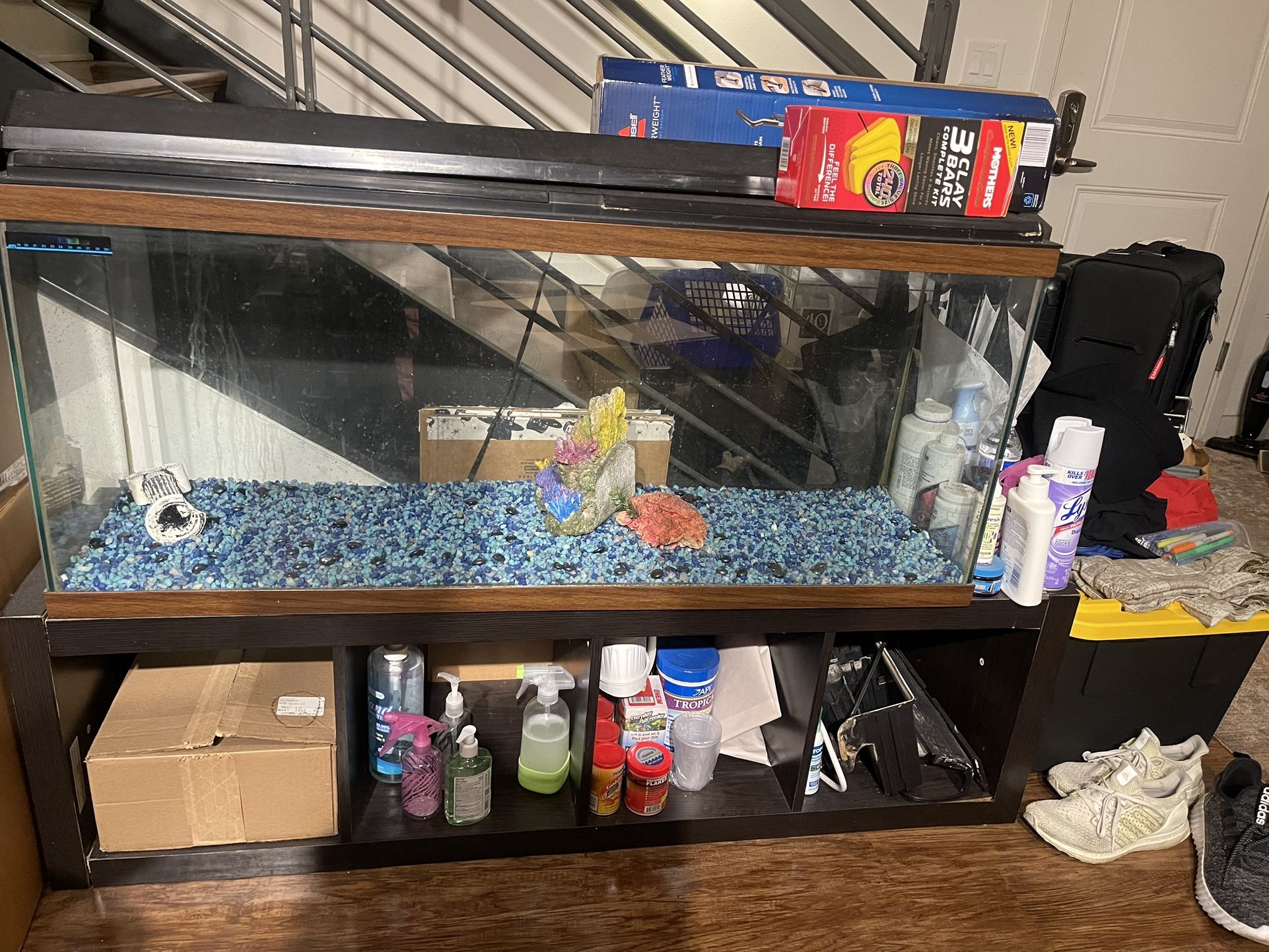 109 Gallon Fish Tank