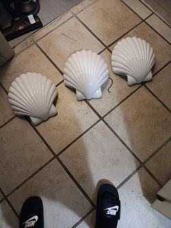 Shell Light Fixtures 75$