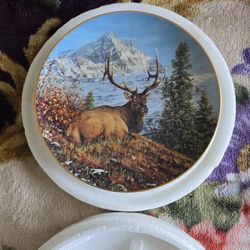 Mountain Repose