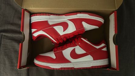 Nike dunk low retro