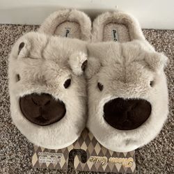 Capybara Slippers