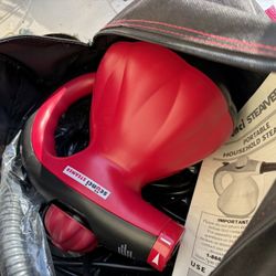 Hand Held Steamer Set 