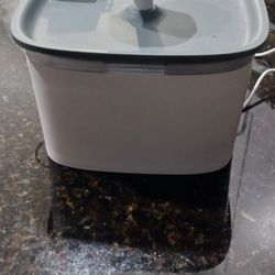 Cat Water Fountain 