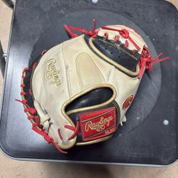 Catchers Glove