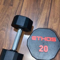 20 lbs Dumbbells