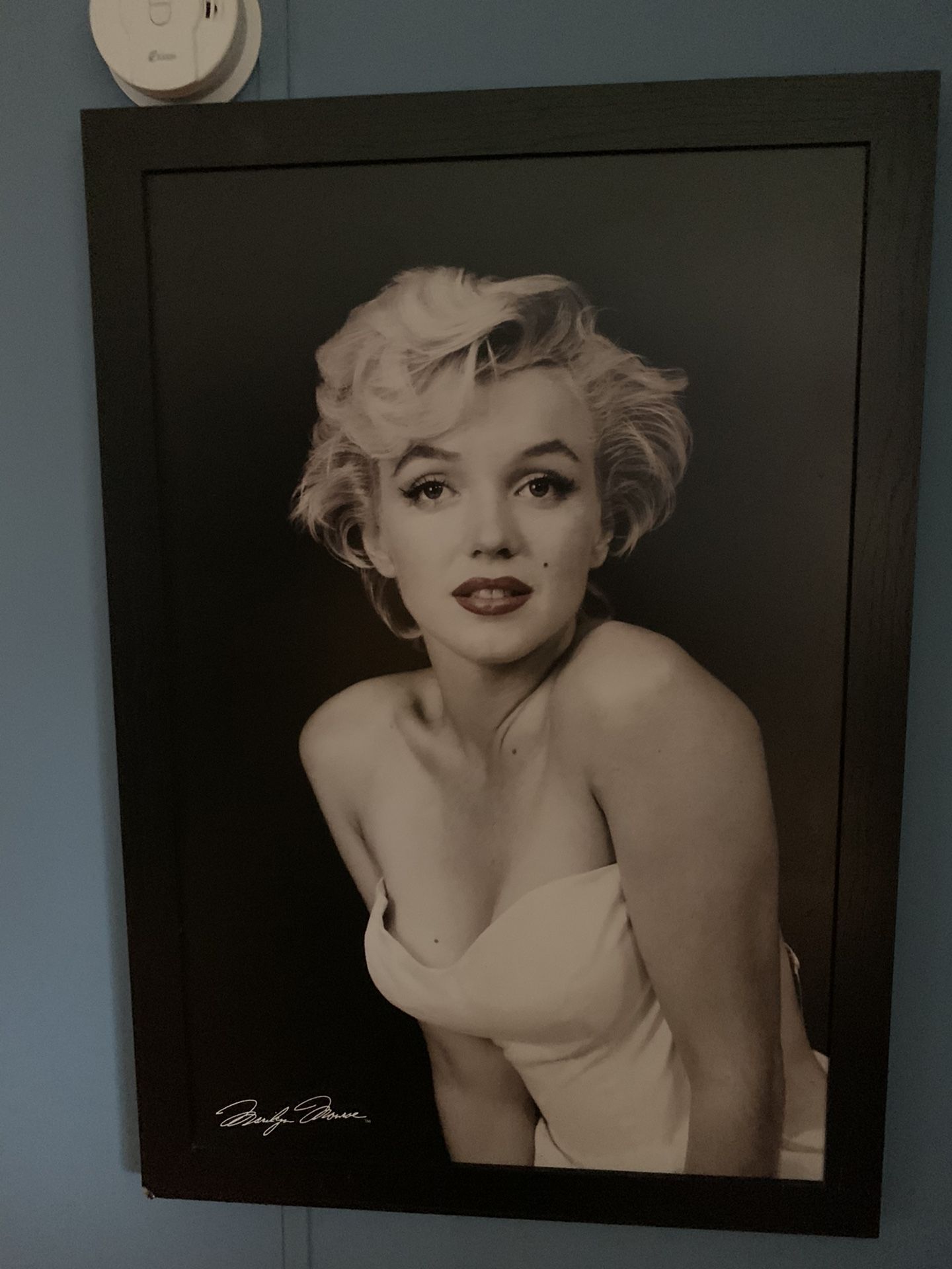 Marilyn Monroe Big picture