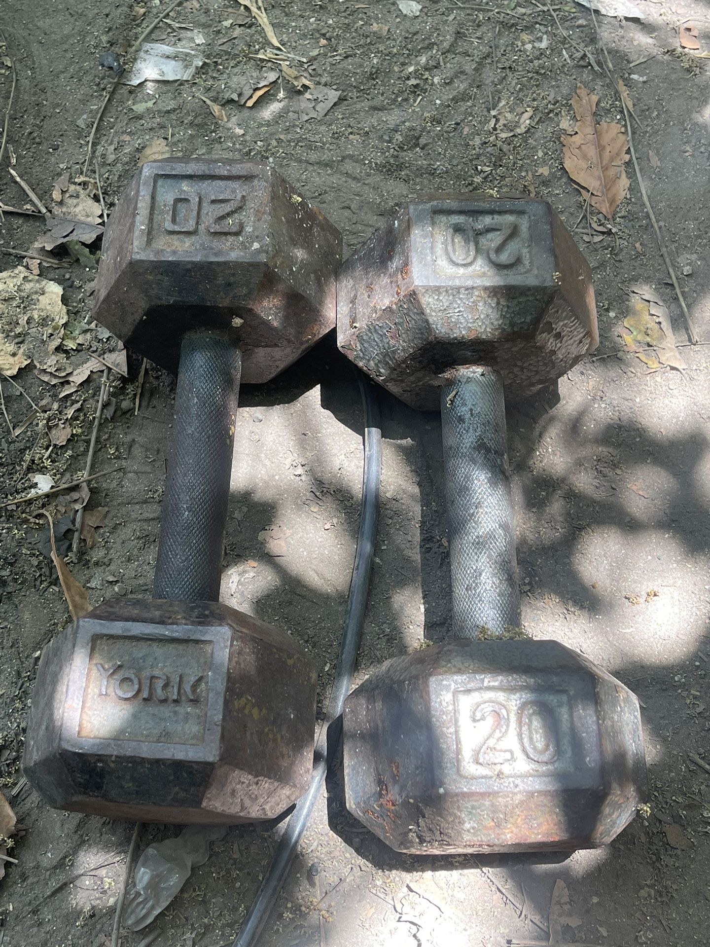 20lb Dumbbells