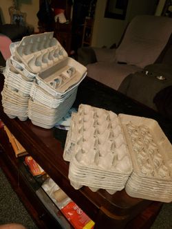 EGG CARTON