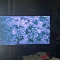 Acer Computer Monitor 27”