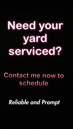 Hedgehogs Grounds Management