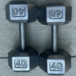 40lb Dumbbells 