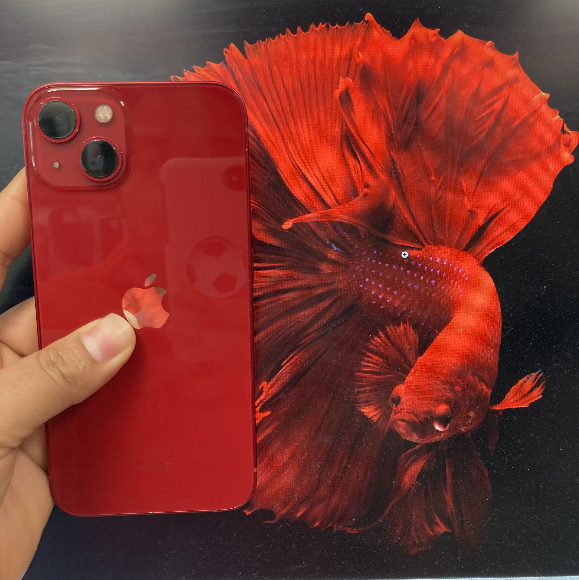 Factory Unlocked Iphone 13 256 gb comes with store warranty