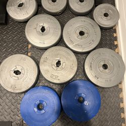 Standard (1 Inch) Vinyl weights 