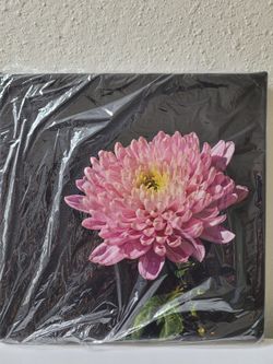 New Photo On Canvas Print 8 X 8