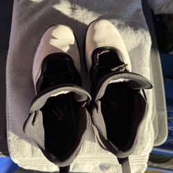 Nikes Air  Jordan’s 12