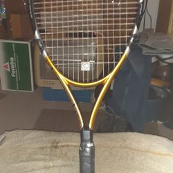 Pro Kennex Kinetic 20PSE Pro Special Addition 