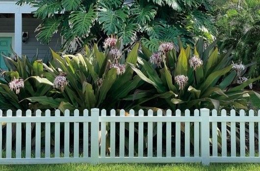 Picket Fence Flat Top Spear Top Picket fence: white picket vinyl fence gate vinyl topper fence white front yard side yard fence