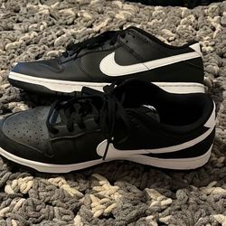 Nike Dunk Panda Shoe