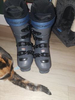 Fischer Ranger HV 110 GW Ski Boots