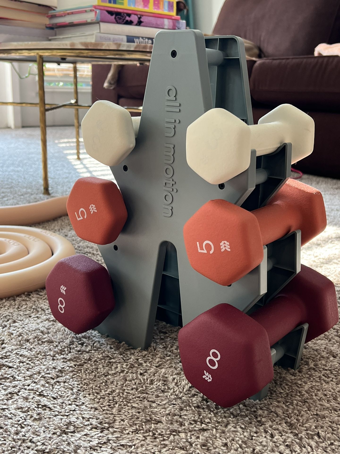 All In Motion Weight Set