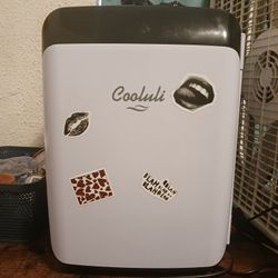 Cooluli 10L Mini Fridge for Bedroom, Office Desk and Car