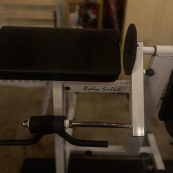 Body solid plate loaded bicep And tricep Machine