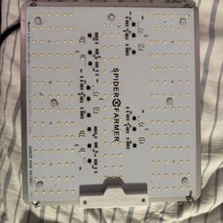 Spider Farmer SF-1000D & Mars Hydro TS-600 LED Grow Lights – $45 Each / $80 Both