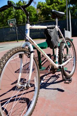 Trek Antelope 800 Large Chromoly frame Rides Great