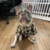Bruno