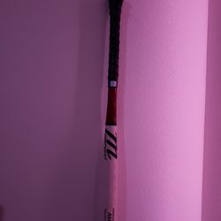 29 "Marucci AM22 