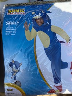 Sonic Costume