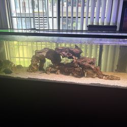 300 Gallon Fish Tank 