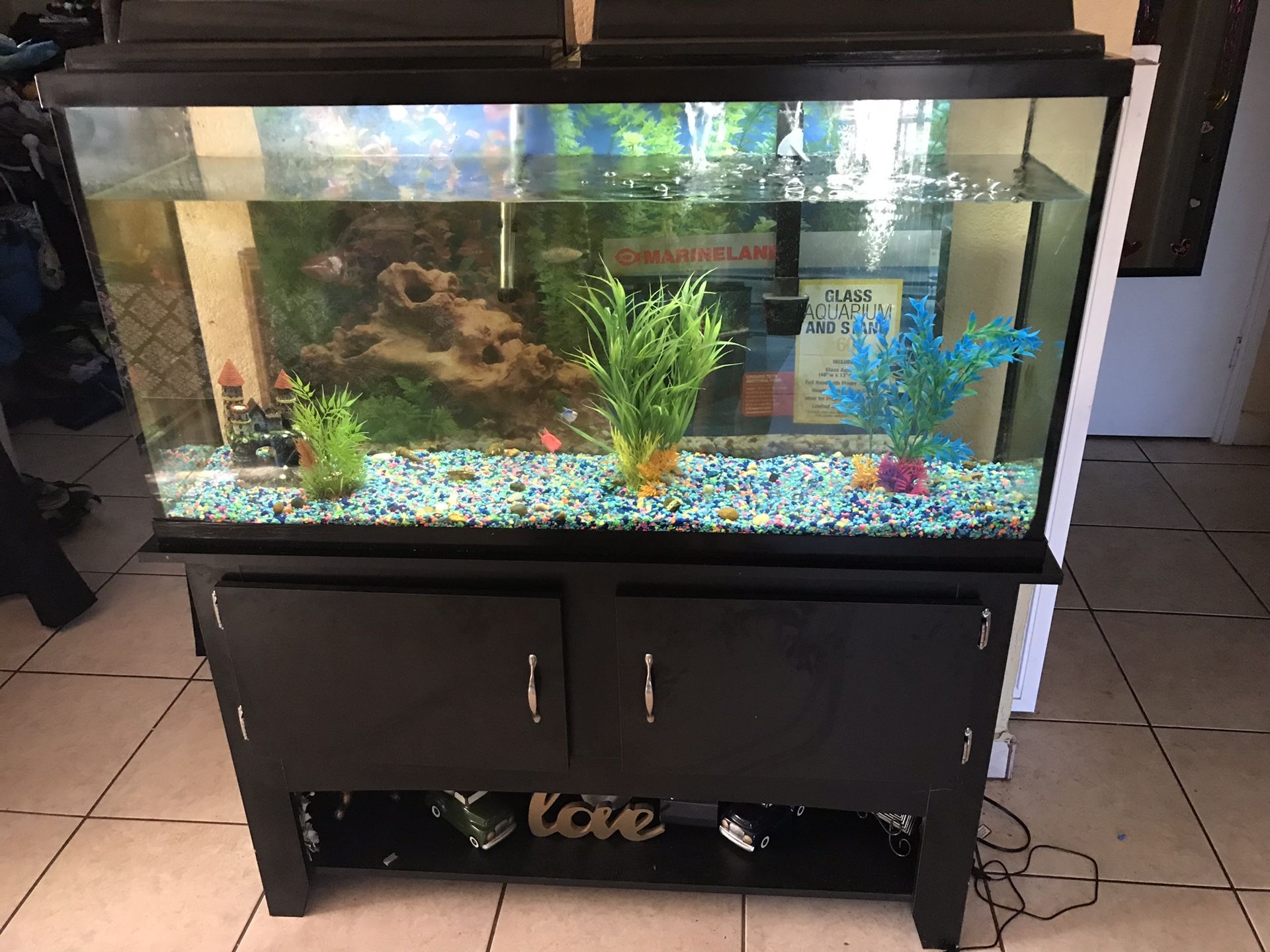 Large fish tank 60 gallons and stand