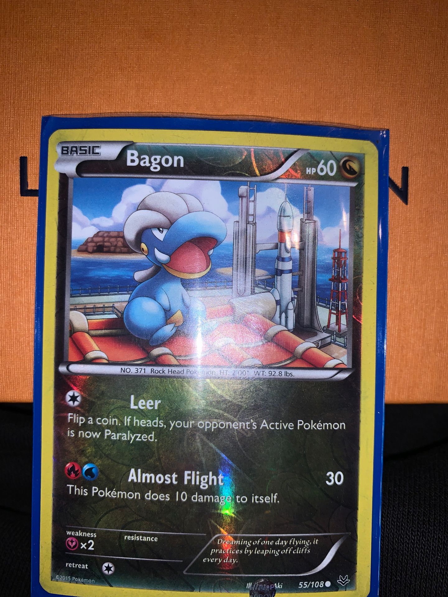 bagon pokemon card