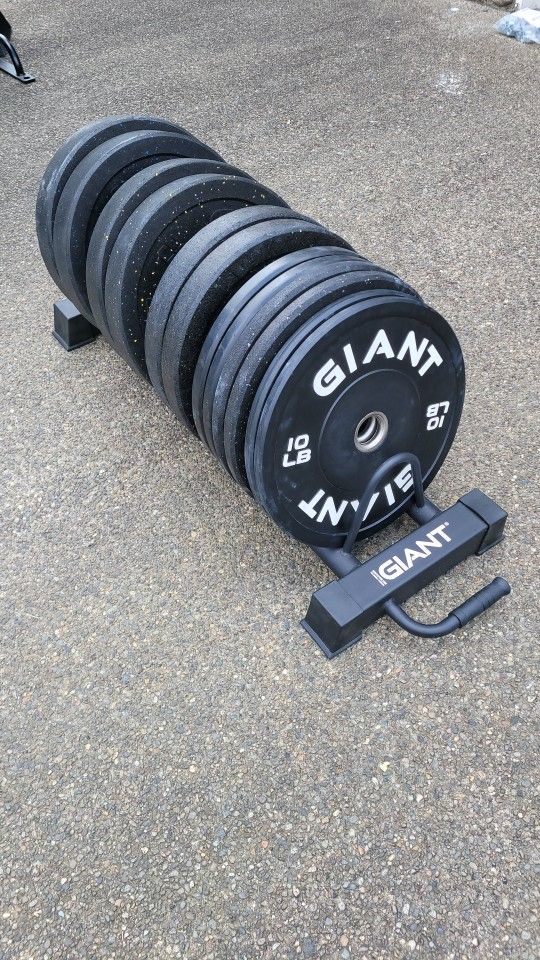 Giant Horizontal Plate Storage